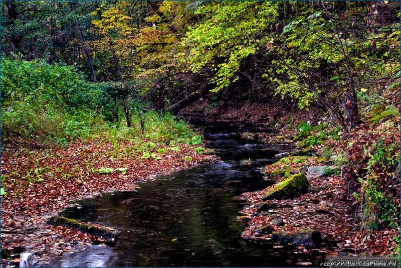 Осенняя река Россия Осенняя река Россия