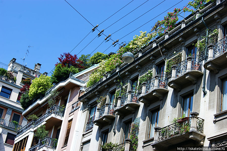 Целый парк на крыше жилого дома Милан, Италия