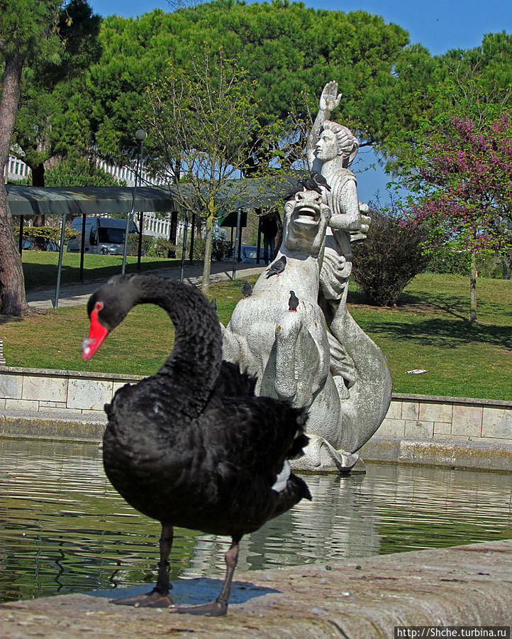 здесь искуственное озеро и павильон Карлоса Лопеса, сейчас летнее кафе здесь искуственное озеро и павильон Карлоса Лопеса, сейчас летнее кафе
