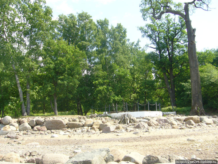 Под соснами Северной Ривьеры Сестрорецк, Россия Под соснами Северной Ривьеры Сестрорецк, Россия