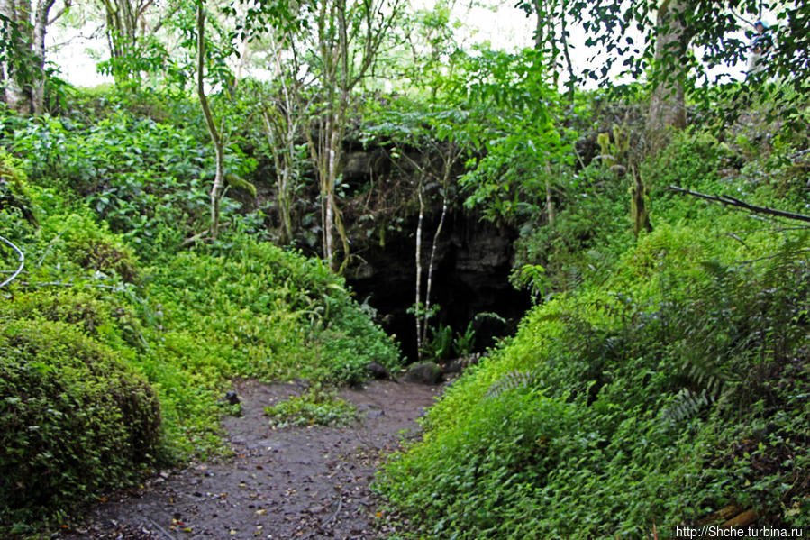 В застывшем пузыре (лавовый тоннель) Санта Роза, остров Санта-Крус, Эквадор