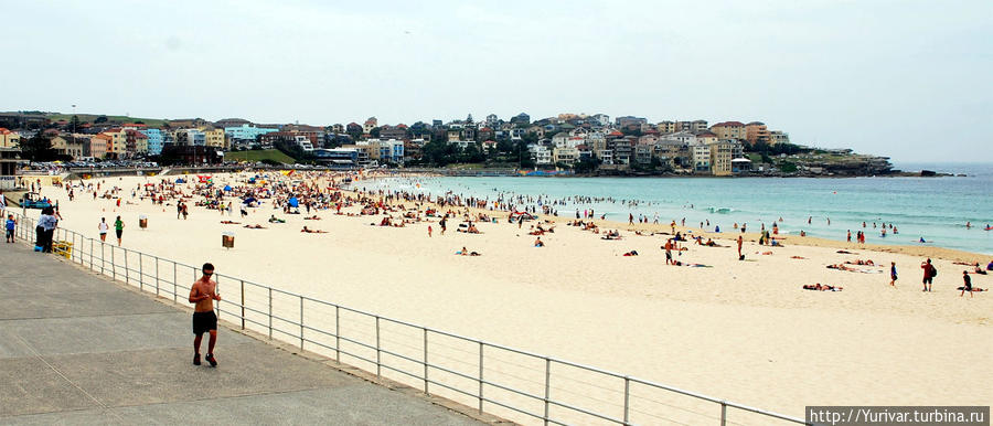 Пляж Бонди в Сиднее Сидней, Австралия
