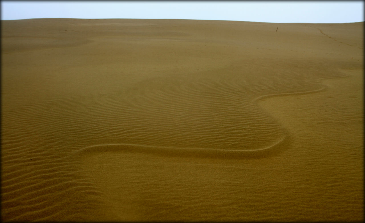 Осколок азиатской пустыни или самая высокая дюна Европы