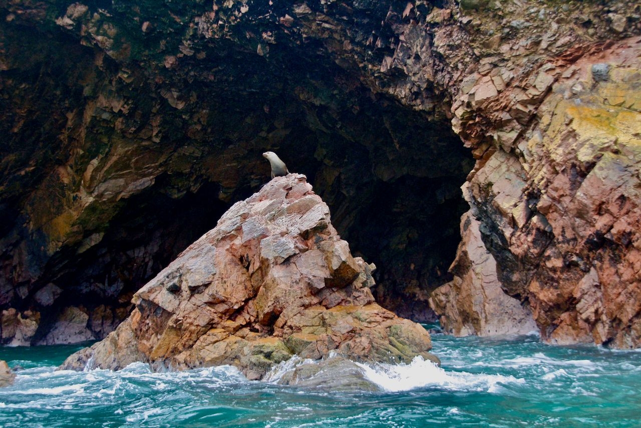 Природная арка Бальестас Острова Бальестас Национальный Резерват, Перу