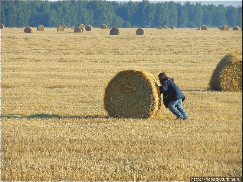Размещенное изображение