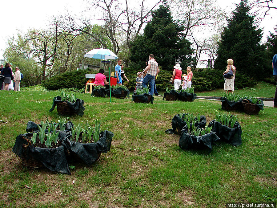 Весенняя феерия Певческого поля Киев, Украина Весенняя феерия Певческого поля Киев, Украина