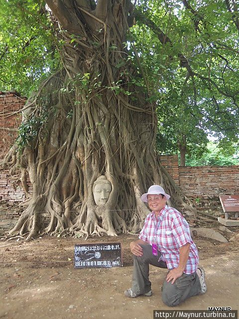 Приобщение к святости. Приобщение к святости.