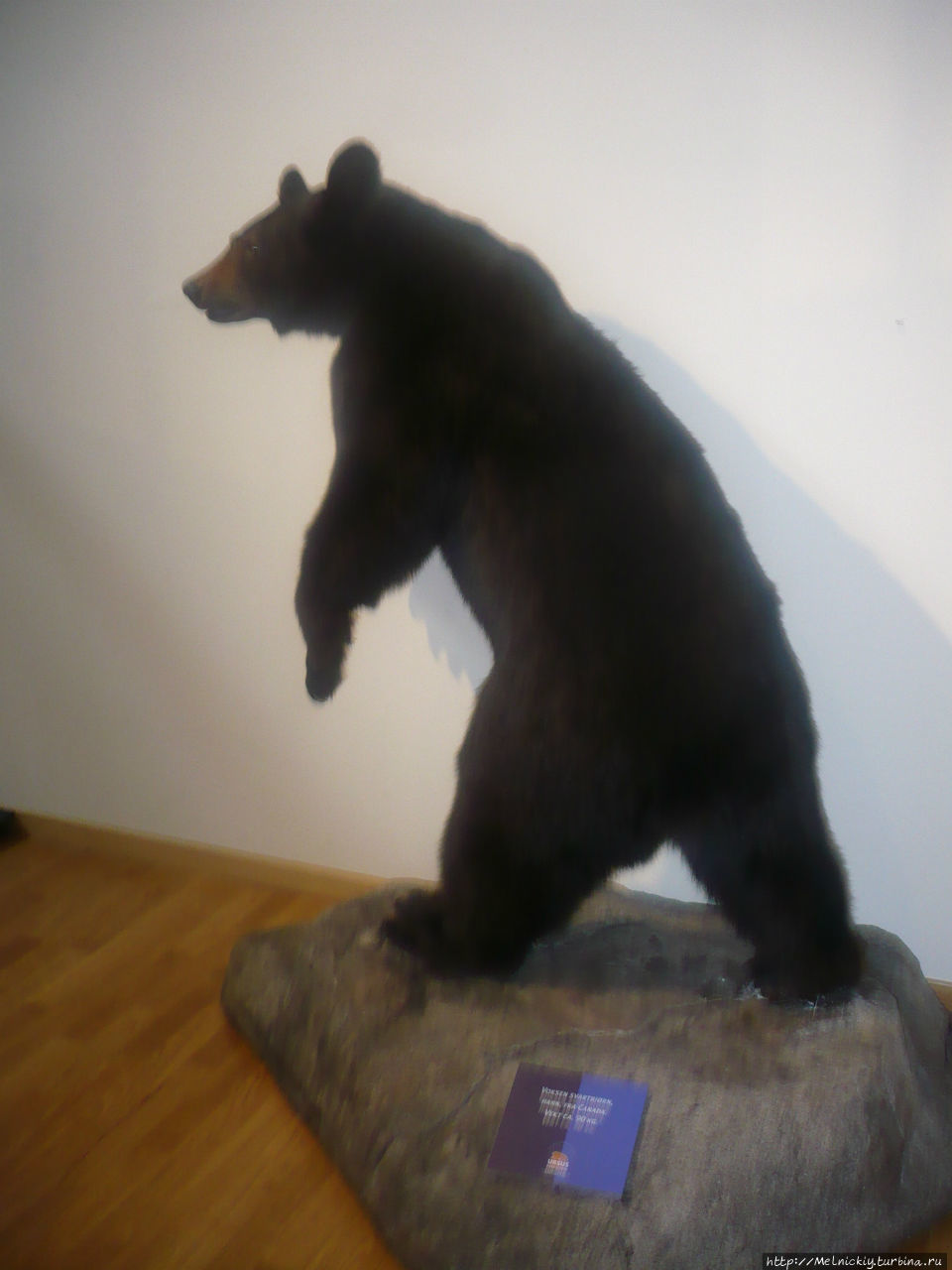 Музей Альты Альта, Норвегия Музей Альты Альта, Норвегия