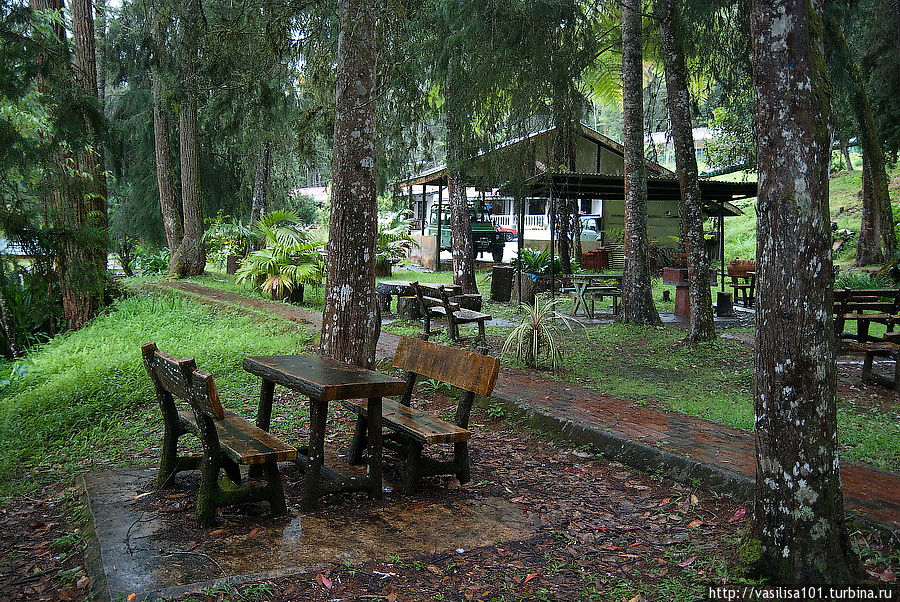 Танах-Рата: город, водопад и дождевой лес Танах-Рата, Малайзия