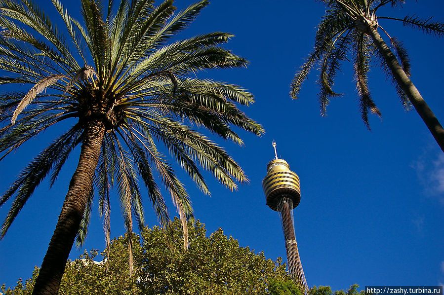 Гайд парк находится в самом центре делового Сиднея и значительно уступает по размерам своему Лондонскому брату.