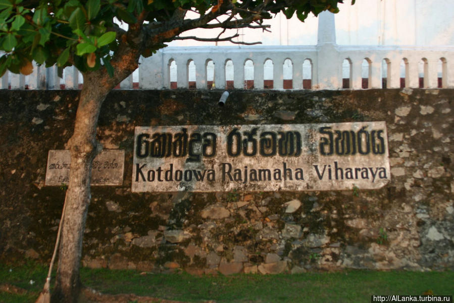 Речное сафари. Шри-Ланка Балапития, Шри-Ланка