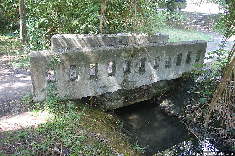 Приморский парк Гагра, Абхазия