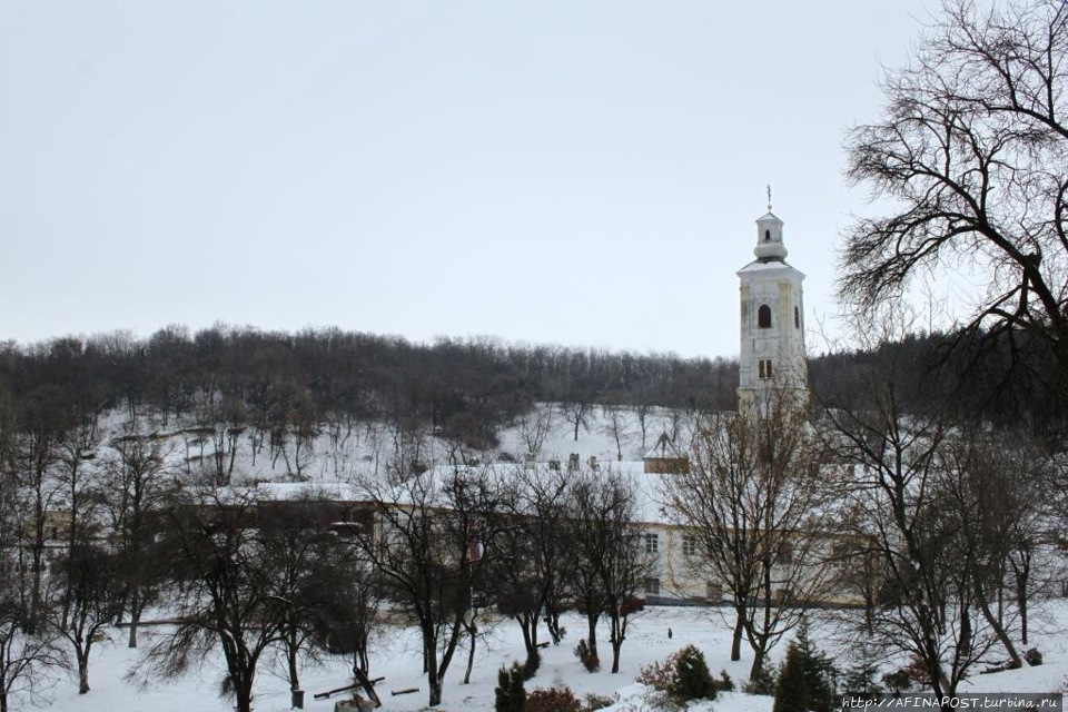 Монастырь Великая Ремета / Remeta monastery