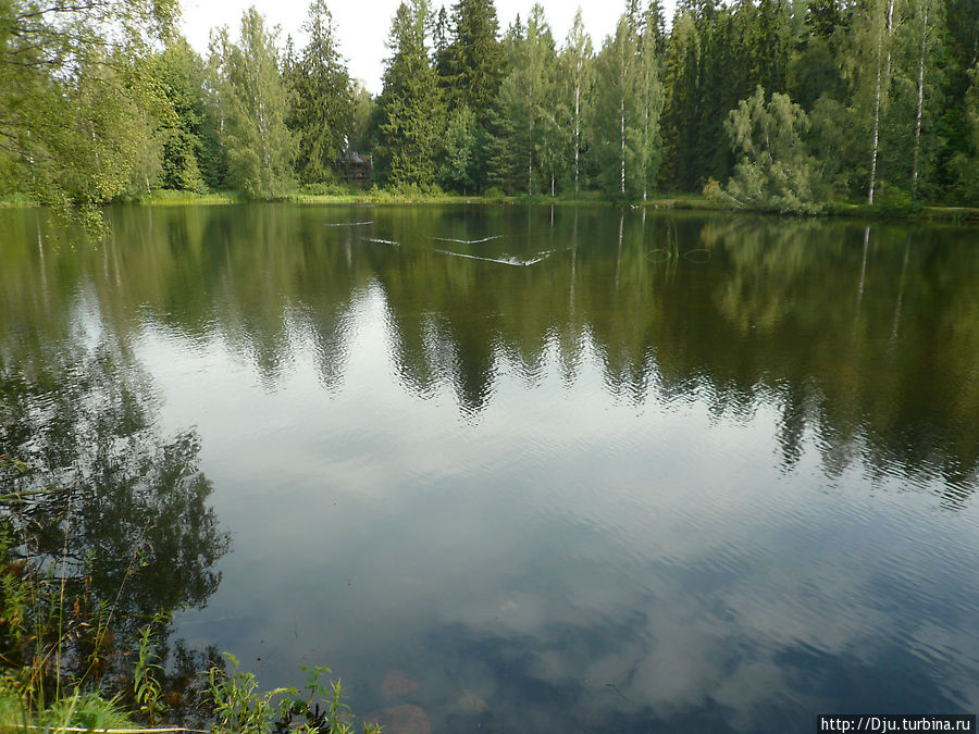Искусственно созданное Лесное озеро Хяменлинна, Финляндия