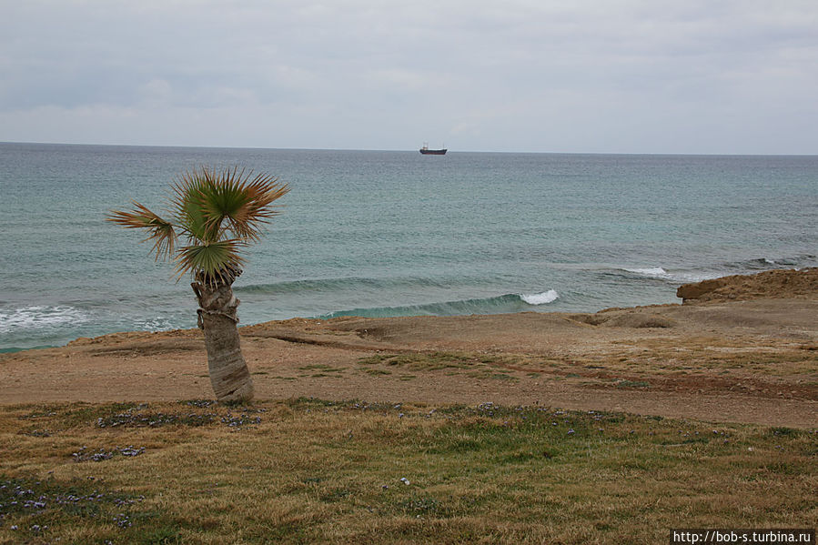 Пафос Пафос