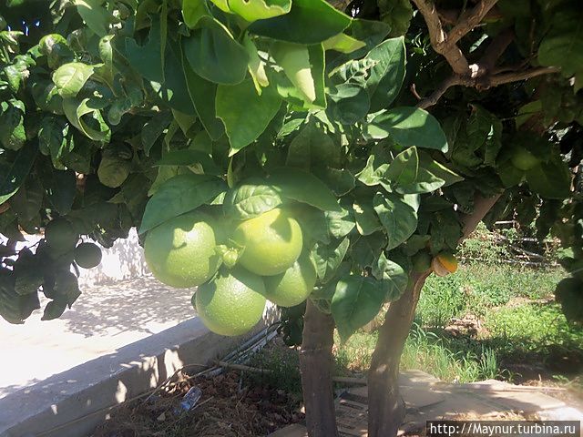 По дороге к монастырю По дороге к монастырю