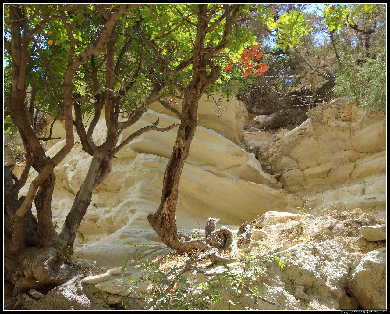 Ущелье Авакас Акамас полуостров Национальный Парк, Кипр