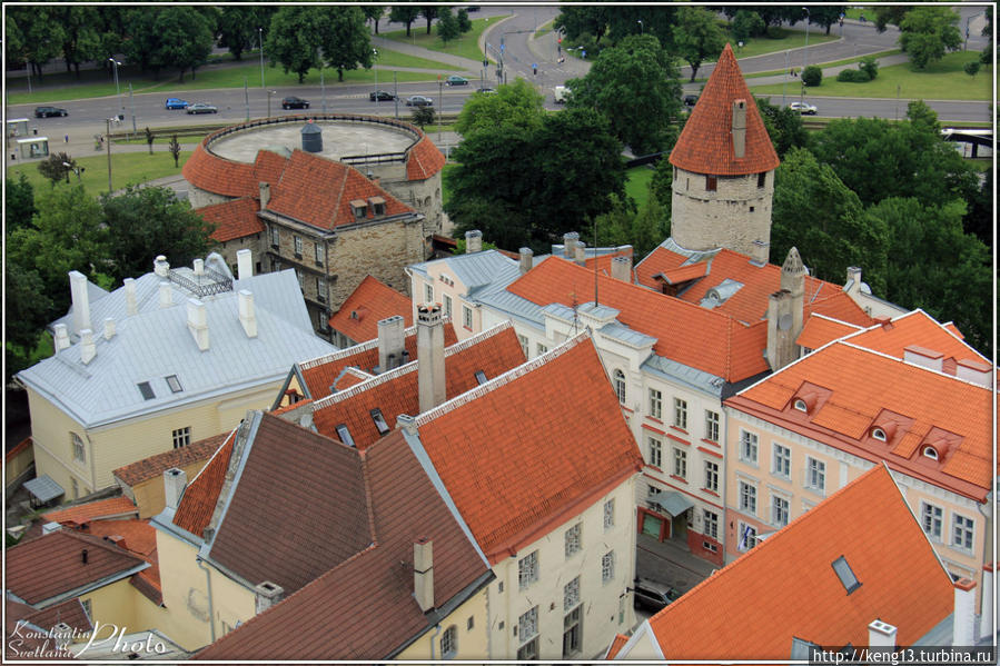 На плечах святого Олафа Таллин, Эстония