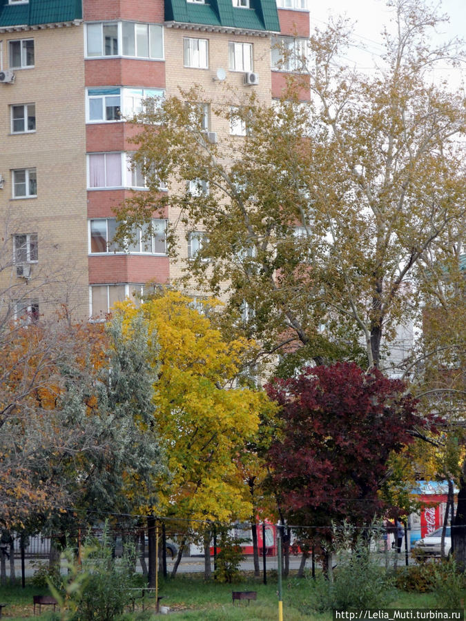 и все-таки осень.... и все-таки осень....