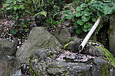 Сад в парке Теннодзи (Tennōji Park)