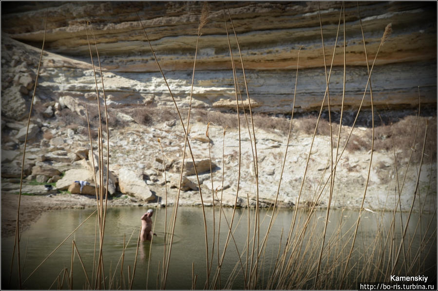 озеро с черепахами. Мангистауская область, Казахстан