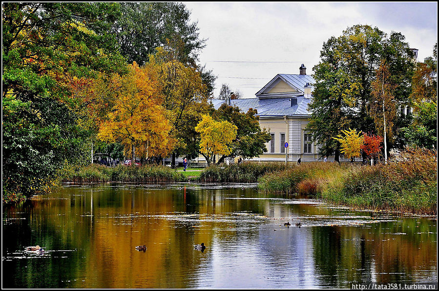 Осень на Ольгином пруду Петергоф, Россия