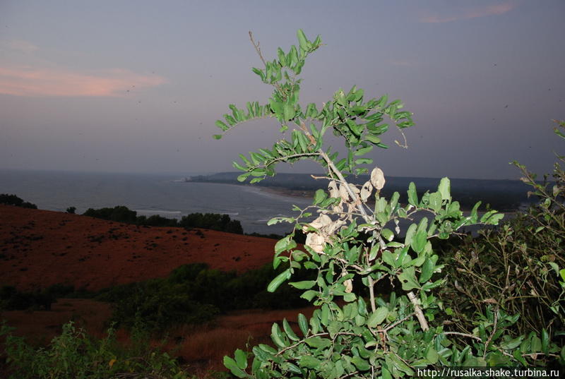 Форт Чапора — бегом к закату! Вагатор, Индия