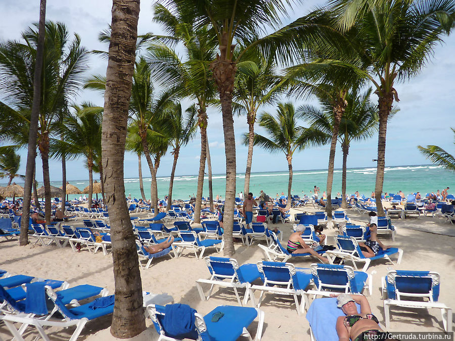 Лежаки на пляже Лежаки на пляже