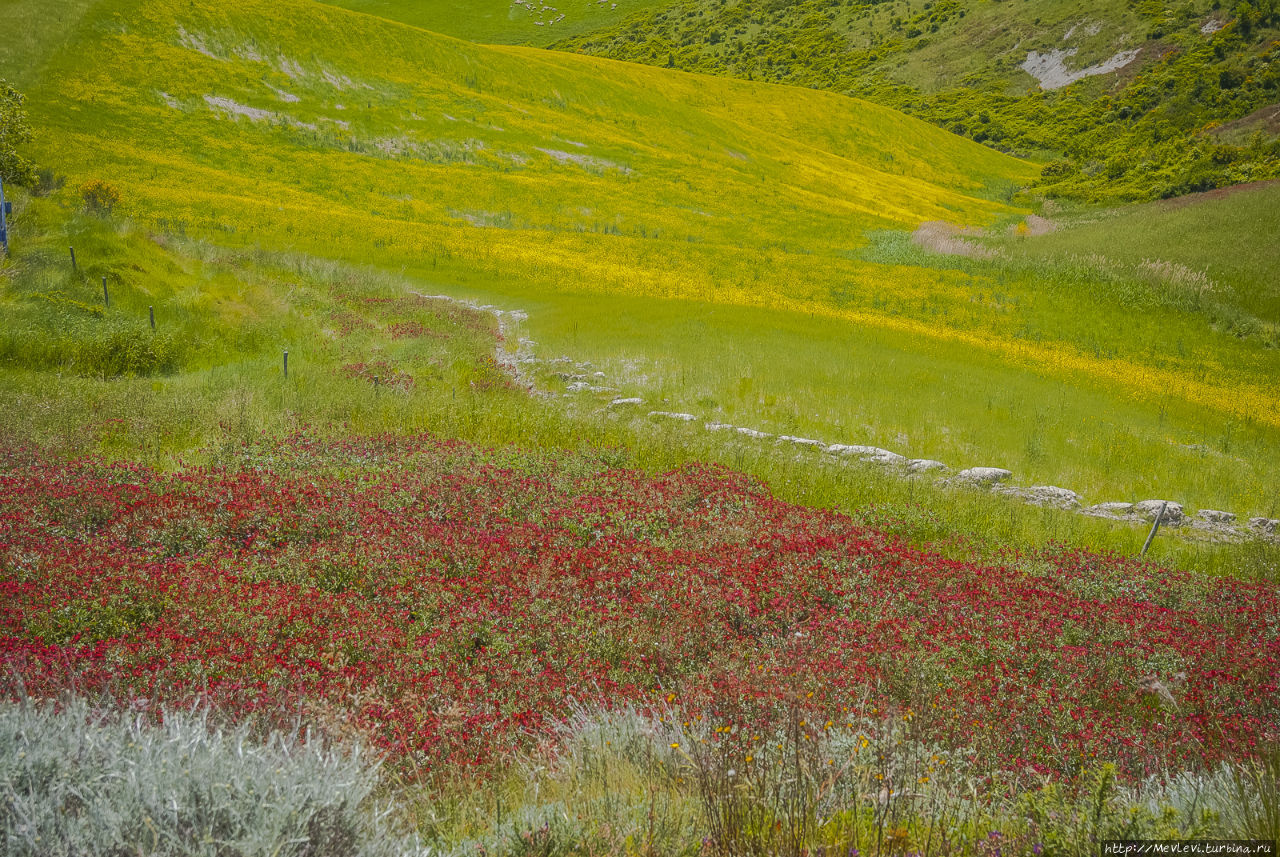 Окрестности San Gimignano Сан-Джиминьяно, Италия Окрестности San Gimignano Сан-Джиминьяно, Италия