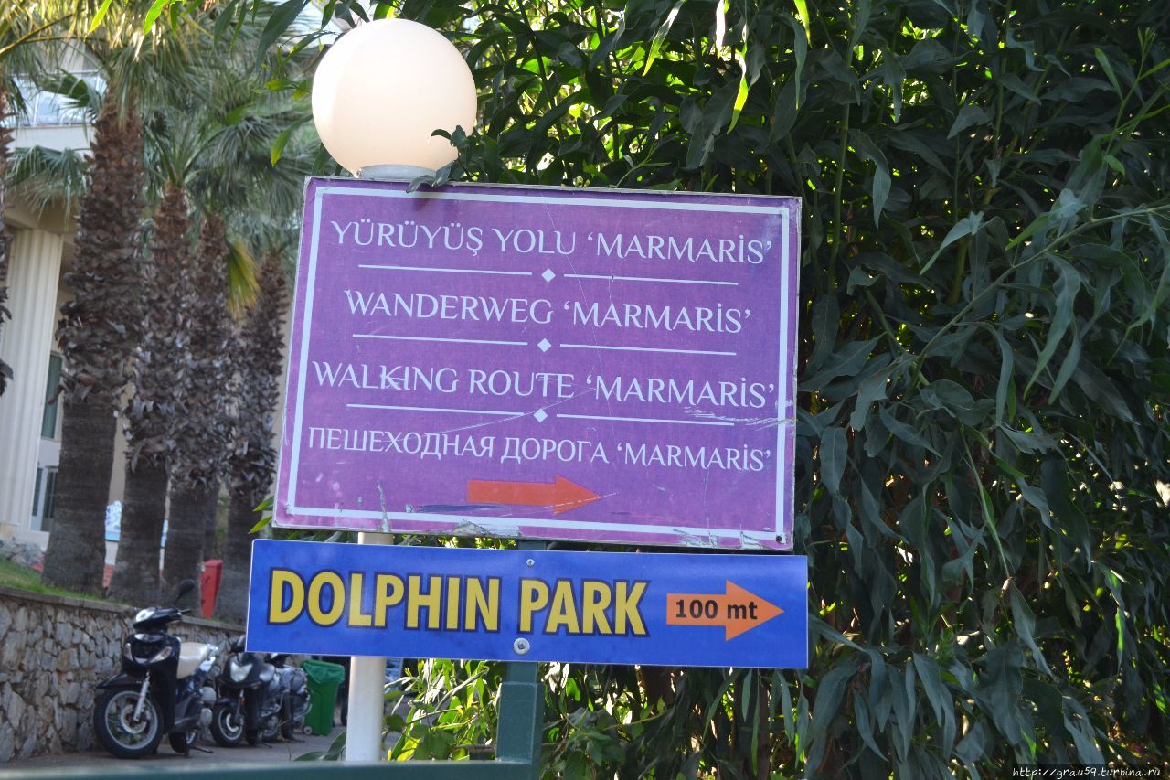 Дельфинариум Мармарис, Турция