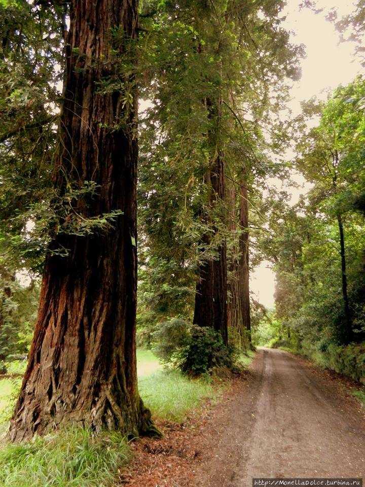 Кастэлло Саммэззано — провинция Флоренция Флоренция, Италия Кастэлло Саммэззано — провинция Флоренция Флоренция, Италия