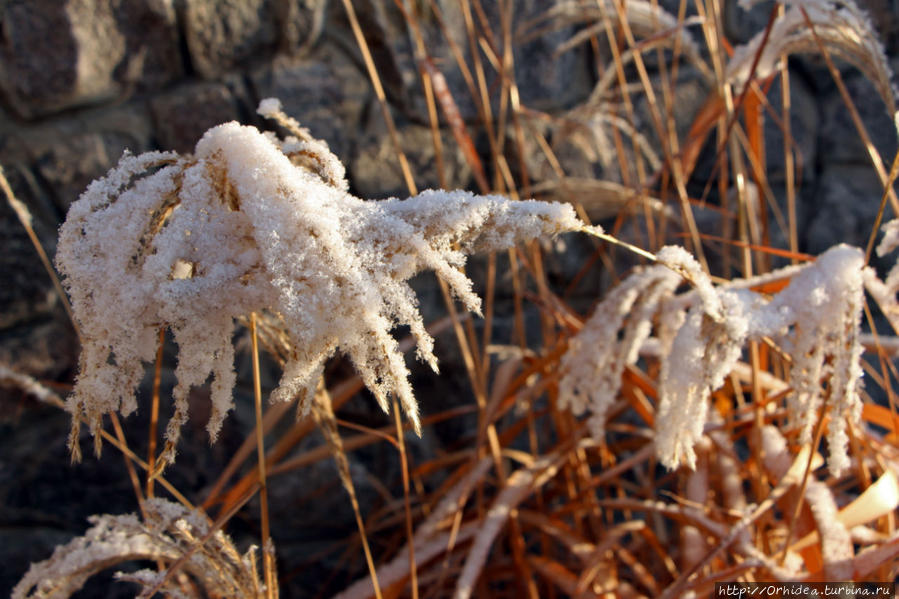 Первый снег всегда тает Харьков, Украина Первый снег всегда тает Харьков, Украина