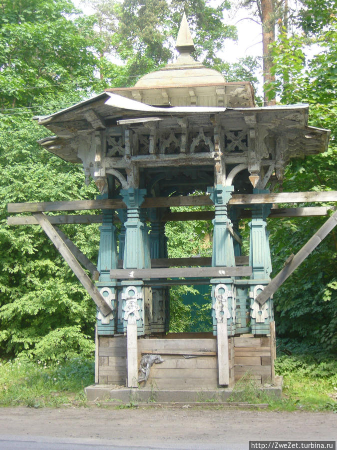 Под соснами Северной Ривьеры Сестрорецк, Россия Под соснами Северной Ривьеры Сестрорецк, Россия