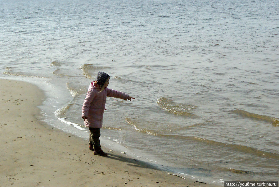 Поймайте мне кролика Нижегородская область, Россия Поймайте мне кролика Нижегородская область, Россия