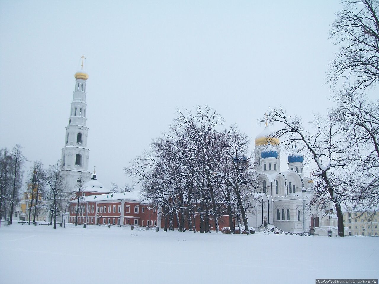 Зимний монастырь со множеством котов Дзержинский, Россия