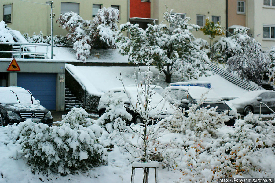 Зима нечаянно нагрянет Штутгарт, Германия
