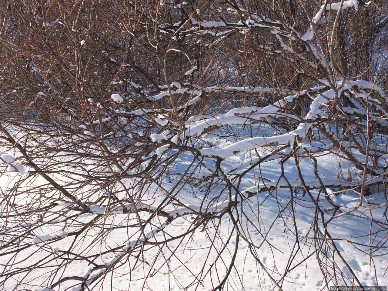 За Крещенской водой к проруби... Красноярск, Россия За Крещенской водой к проруби... Красноярск, Россия