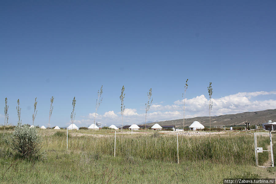 вид с берега, до которого от калитки 50 метров Иссык-Кульская область, Киргизия