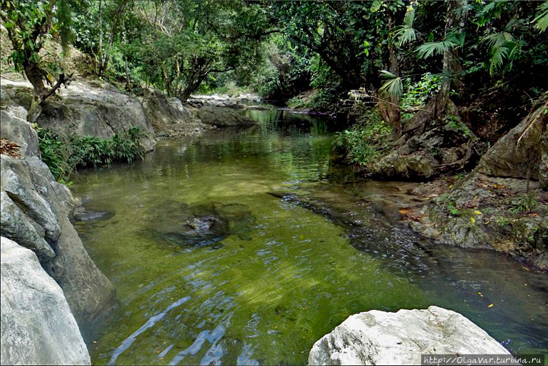 Вот здесь можно купаться — проверено... Сьерра-Невада-де-Санта-Марта Национальный Парк, Колумбия