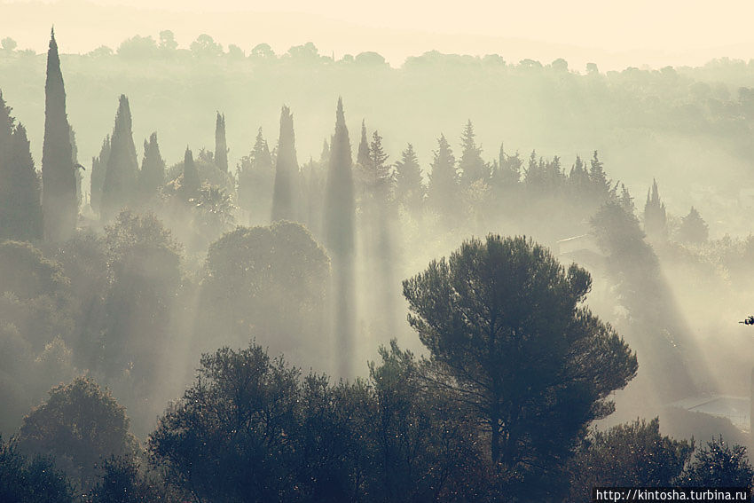 Свет Прованса Прованс-Альпы-Лазурный берег, Франция Свет Прованса Прованс-Альпы-Лазурный берег, Франция