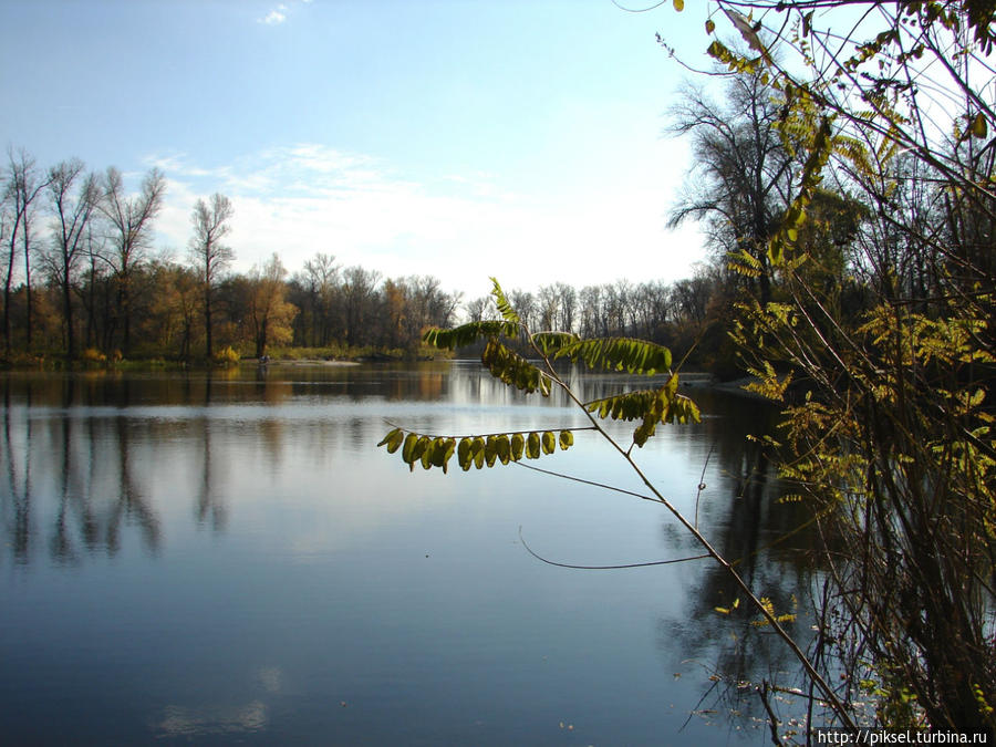 Осенняя медитация Киев, Украина Осенняя медитация Киев, Украина