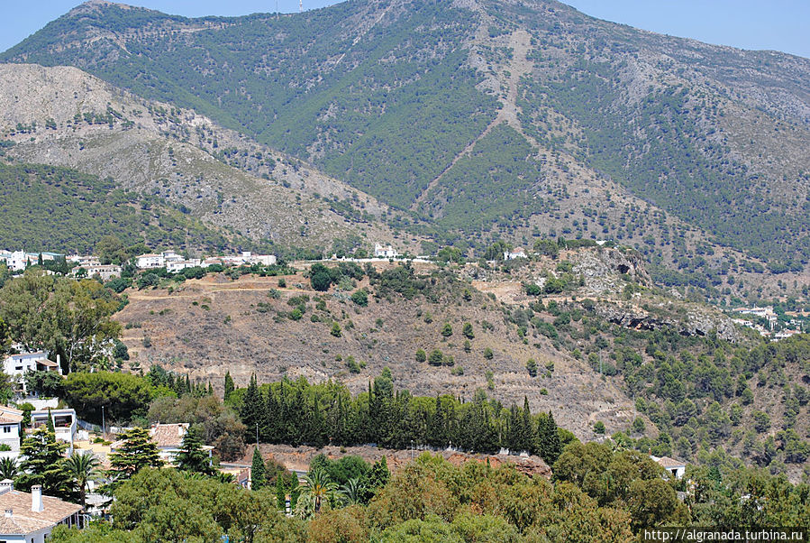 Михас Михас