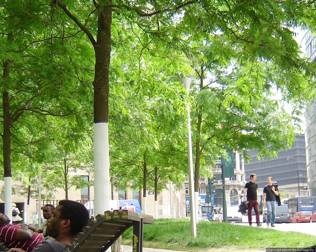 Парк центрального вокзала Брюссель, Бельгия
