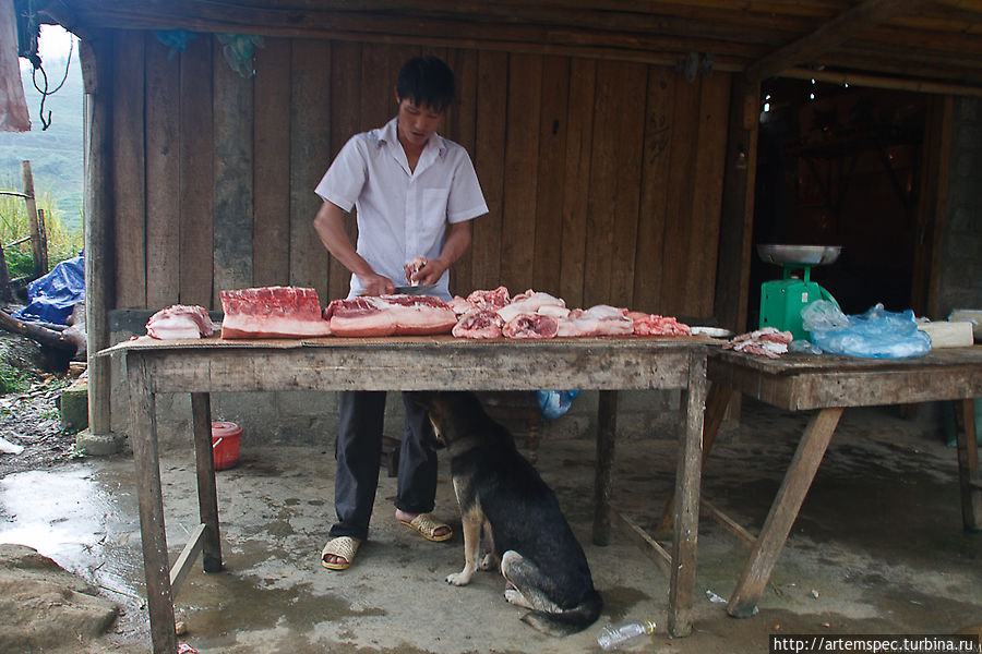Прогулка с хмонгами Сапа, Вьетнам Прогулка с хмонгами Сапа, Вьетнам