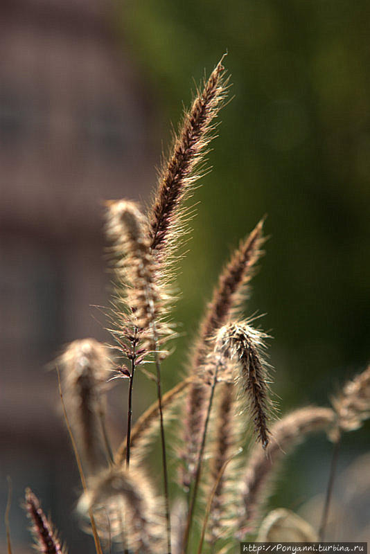 Разноцветная осень Штутгарт, Германия Разноцветная осень Штутгарт, Германия