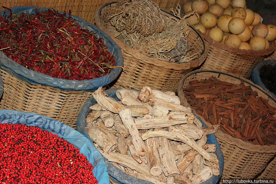 В лавке Доктора Мустафы. Шарм-Эль-Шейх, Египет В лавке Доктора Мустафы. Шарм-Эль-Шейх, Египет