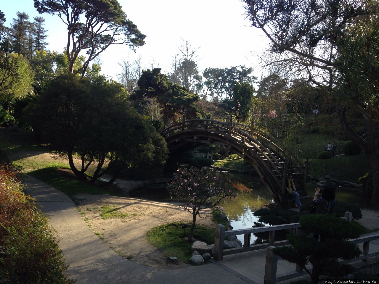 Японский сад в Ботаническом саду Хантингтона. Лос-Анжелес, CША