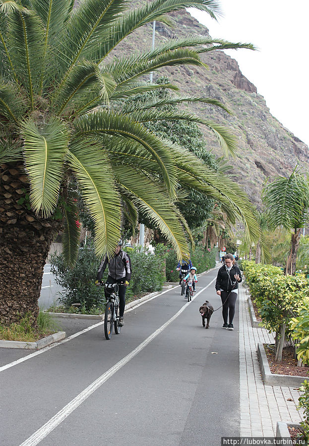 Местное население прогуливается и прогуливает своих питомцев. Местное население прогуливается и прогуливает своих питомцев.