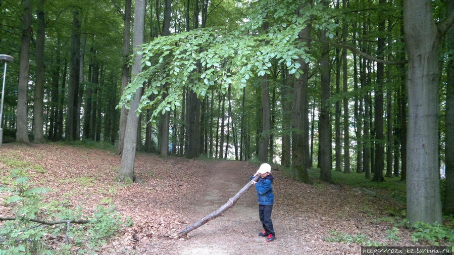 Hvězda-Skalnik Марианске-Лазне, Чехия