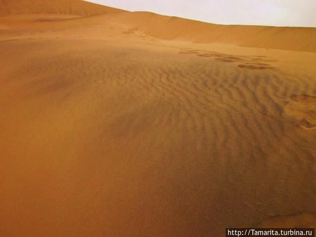 Пески и дюны Намиба